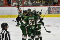Ligue Régionale de Hockey : le Desjardins Wild de Windsor  connaît un bon début de saison